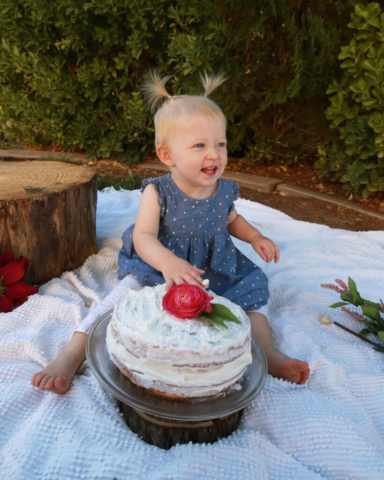 Portraits, Birthday, Missionary, Milestone, Cake Smash, Milestone, Family, Maternity, Newborn, Birth, Fresh 48, Seniors, Sports, Engagement, Wedding, Blessing, Baptism, Christening, Temple Sealing Photographer in Ogden, Brigham City, Tremonton, Layton, Kaysville, Farmington, Syracuse, Clinton, Clearfield, Utah